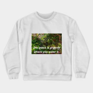 "the grass is greener where you water it" (photo version) ♡ Y2K slogan Crewneck Sweatshirt